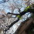 20120408_114300.jpg