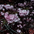 20120419_191455.jpg