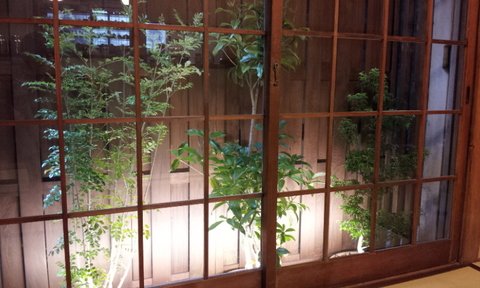 20120425_142455.jpg