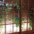 20120425_142455.jpg